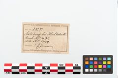 Etikett zu Eisenbandring (NHMW-PRAE-025171)